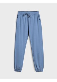 Sinsay - Spodnie dresowe jogger - niebieski. Kolor: niebieski. Materiał: dresówka #1