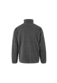 RESULT - Polar z recyklingu z kołnierzem na zamek błyskawiczny Result. Kolor: szary. Materiał: polar #2
