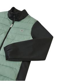 Reima Kurtka przejściowa Trekkeri 5100451A Zielony Regular Fit. Kolor: zielony. Materiał: syntetyk #6