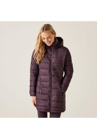 Regatta - Starler damska wodoodporna turystyczna pikowana kurtka. Kolor: fioletowy. Sport: turystyka piesza #1
