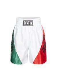 Szorty bokserskie Benlee Bonaventure. Kolor: zielony, biały, wielokolorowy. Sport: fitness #1