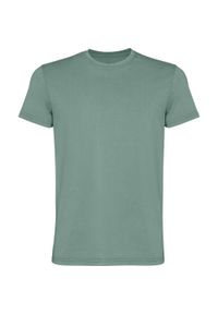 ROLY - Męska Koszulka Corgi Z Krótkim Rękawem. Kolor: zielony. Długość rękawa: krótki rękaw. Długość: krótkie. Sport: turystyka piesza #1