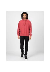 Champion - Bluza trekking męska. Typ kołnierza: kaptur. Kolor: czerwony, brązowy, wielokolorowy. Materiał: poliester, bawełna. Wzór: nadruk. Sport: turystyka piesza #1