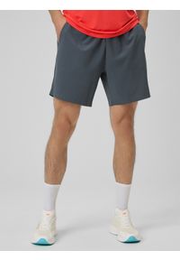 4f - 4F Spodenki treningowe szybkoschnące męskie - szare XL. Kolor: szary. Materiał: skóra, tkanina. Sport: fitness #2