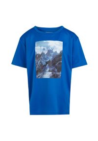 Regatta - T-shirt Dziecięca Z Górą Alvardo VIII. Kolor: szary, niebieski, wielokolorowy. Sport: turystyka piesza