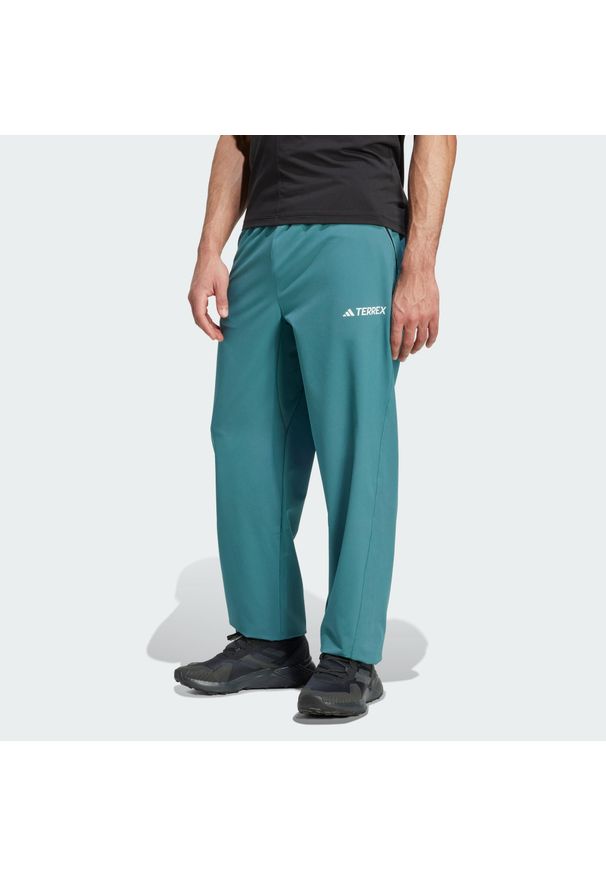 Adidas - Spodnie Terrex Multi Liteflex. Kolor: niebieski, wielokolorowy, zielony. Materiał: materiał. Sezon: lato. Sport: turystyka piesza