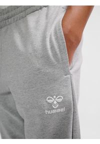 Spodnie dresowe dla dzieci Hummel Go 2.0. Kolor: szary. Materiał: dresówka. Sport: piłka nożna