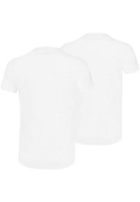 Puma - T-shirt Męski Dekolt W Szpic Basic 2pak. Kolor: biały. Sport: turystyka piesza