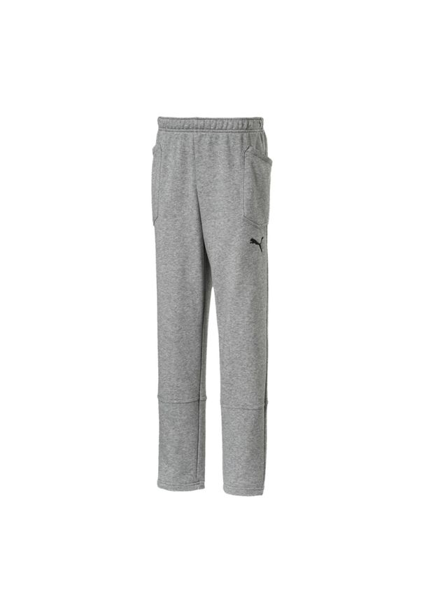 Puma - Spodnie Dresowe Boys Liga. Kolor: szary. Materiał: dresówka