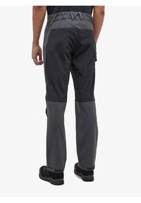 Haglöfs - Spodnie trekkingowe męskie Haglofs Mid Standard Pant. Kolor: szary. Sport: turystyka piesza