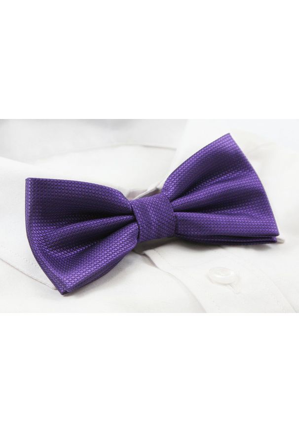 Mucha Męska z Poszetką w Zestawie - Alties - Fiolet z Drobną Fakturą na Tkaninie. Materiał: tkanina. Styl: sportowy, elegancki