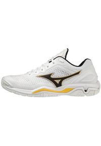 Buty do piłki ręcznej męskie Mizuno Wave Stealth V. Zapięcie: sznurówki. Kolor: biały, wielokolorowy, czarny. Materiał: materiał. Szerokość cholewki: normalna. Model: Mizuno Wave