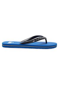 Quiksilver - Klapki dla Mężczyzn MOLOKAI CORE. Okazja: na plażę. Kolor: niebieski. Materiał: guma, syntetyk. Wzór: paski. Styl: sportowy