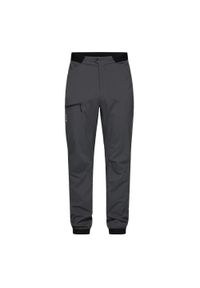 Haglöfs - Spodnie softshell męskie Haglofs L.I.M Fuse Pant. Kolor: szary. Materiał: softshell. Sport: turystyka piesza