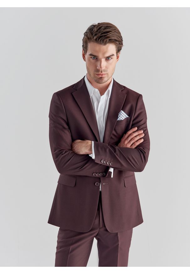 Pako Lorente - PAKO LORENTE – Spodnie męskie garniturowe P21WF-6G-079-D. Materiał: wiskoza, poliester, elastan. Wzór: gładki. Styl: elegancki