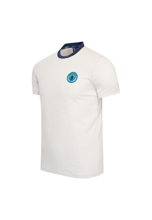 MANCHESTER CITY - Koszulka z logo Manchester City dla mężczyzn. Kolor: szary. Materiał: bawełna. Sport: piłka nożna