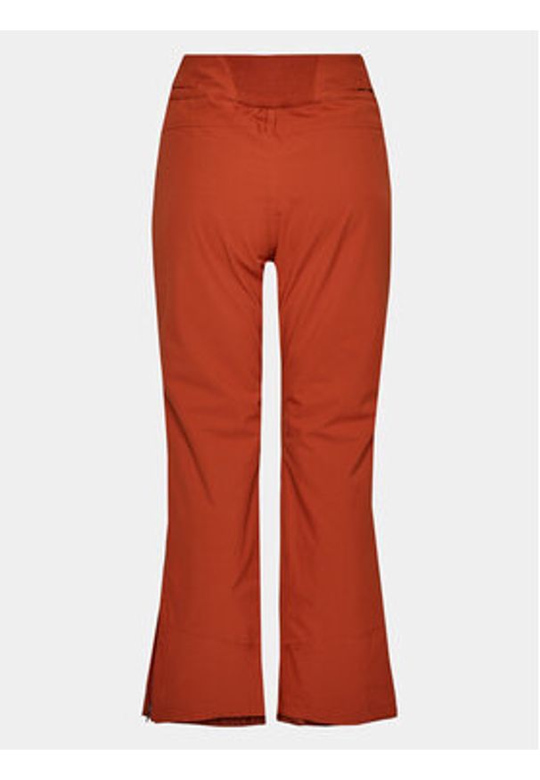 Protest Spodnie narciarskie Cinnamon P4693100 Brązowy Regular Fit. Kolor: brązowy. Materiał: syntetyk. Sport: narciarstwo