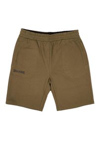 SPALDING - Krótka Spalding Flow. Kolor: zielony. Długość: krótkie. Sport: koszykówka #1