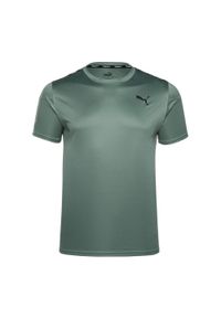 Puma - Koszulka fitness męska PUMA Essentials Taped. Kolor: zielony. Sport: fitness #1