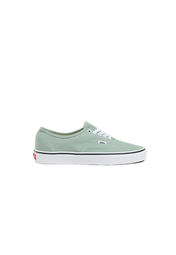 Sneakers Vans Authentic szare. Kolor: szary