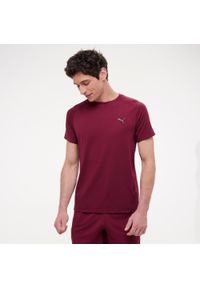 Decathlon - Koszulka z krótkim rękawem męska Puma Active Gym & Pilates. Kolor: czerwony. Materiał: materiał, bawełna. Długość rękawa: krótki rękaw. Długość: krótkie. Sport: joga i pilates
