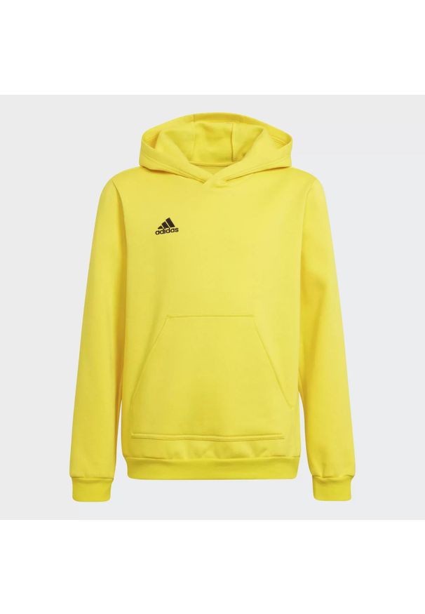 Adidas - Bluza piłkarska dla dzieci adidas Entrada 22 Hoody. Kolor: żółty, wielokolorowy, czarny. Materiał: poliester, bawełna. Sport: piłka nożna