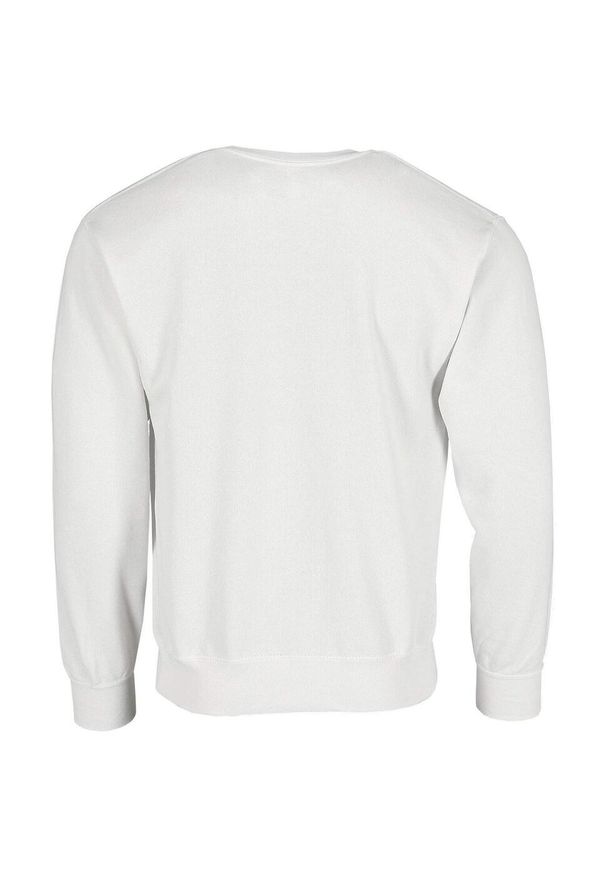 FRUIT OF THE LOOM - Męska Bluza Z Nadrukiem Logo W Stylu Vintage. Kolor: biały. Wzór: nadruk