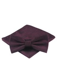 Mucha Męska z Poszetką - Alties - Kolor Wina (Burgund). Kolor: czerwony. Styl: sportowy, elegancki