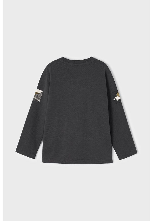 Mayoral longsleeve bawełniany dziecięcy kolor szary z nadrukiem. Okazja: na co dzień. Kolor: szary. Materiał: bawełna. Długość rękawa: długi rękaw. Wzór: nadruk. Styl: casual