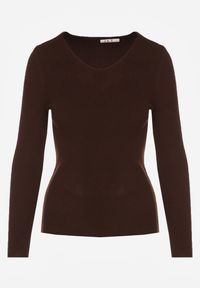 Renee - Brązowy Sweter z Bawełną z Prążkowanej Dzianiny Reisaria. Okazja: na co dzień. Kolor: brązowy. Materiał: prążkowany, dzianina, bawełna. Styl: casual, klasyczny #2