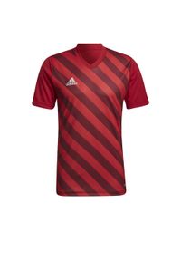 Adidas - Jersey adidas Entrada 22 Graphic. Kolor: czerwony. Materiał: jersey. Sezon: lato. Sport: piłka nożna