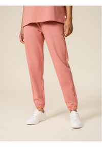 outhorn - Outhorn Spodnie dresowe OTHSS23TTROF173 Różowy Regular Fit. Kolor: różowy. Materiał: bawełna, dresówka #1