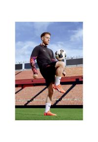 Puma - Męskie szorty piłkarskie IndividualCUP PUMA Black. Kolor: czarny. Sport: piłka nożna