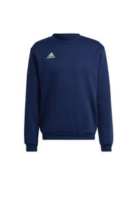 Adidas - Bluza adidas Entrada 22. Kolor: niebieski. Sport: fitness