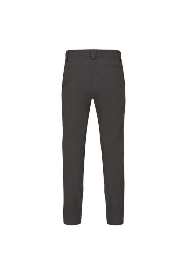 Spodnie softshellowe męskie Rab Ascendor Light Pants Regular. Kolor: szary