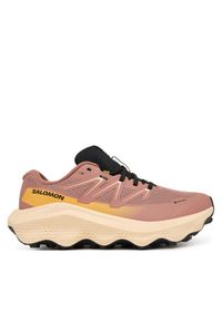 salomon - Salomon Buty do biegania Ultra Flow 2 Gtx L47884500 Różowy. Kolor: różowy. Materiał: materiał #1