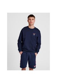 Bluza Hummel IC Dayton. Kolor: niebieski. Materiał: tkanina, polar. Sport: fitness