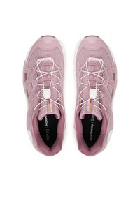 salomon - Salomon Sneakersy Xc Roam L49208300 Różowy. Kolor: różowy. Materiał: materiał #7