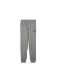 Puma - Męskie spodnie Essentials z logo No. 1 z dżerseju PUMA Medium Gray Heather. Kolor: szary. Materiał: jersey. Sport: fitness
