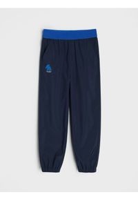 Sinsay - Spodnie hikingowe Active - granatowy. Kolor: niebieski #1