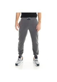 LEONE 1947 APPAREL - Męskie spodnie polarowe Leone Lifestyle. Kolor: szary. Materiał: polar. Sport: fitness