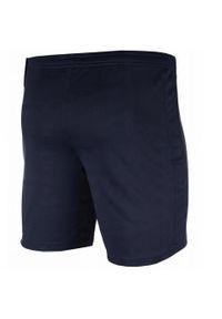 Nike - Męskie Spodenki Academy 23 DriFIT. Kolor: niebieski. Sport: turystyka piesza