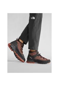 Trekkingi Aku. Kolor: brązowy. Technologia: Gore-Tex. Sport: turystyka piesza #1
