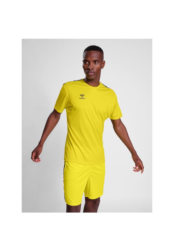 Jersey Hummel Authentic Pl. Kolor: żółty. Materiał: jersey. Sport: piłka nożna