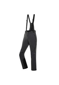 ALPINE PRO - Spodnie męskie narciarskie Alpine Pro Werad 15.000. Kolor: szary. Sezon: zima. Sport: narciarstwo #1