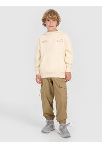 4f - 4F Spodnie casual cargo chłopięce - brązowe 134 (8-9 lat). Okazja: na co dzień. Kolor: brązowy. Sezon: lato. Styl: casual #1