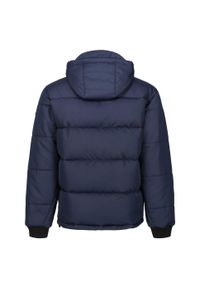 Regatta - Ocieplana Kurtka Męska Northdale. Kolor: niebieski. Sport: turystyka piesza #2