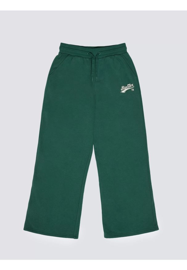 Big-Star - Spodnie dziewczęce dresowe wide zielone Rubiliapw 304. Okazja: na spacer, do domu. Kolor: zielony. Materiał: dresówka. Wzór: nadruk