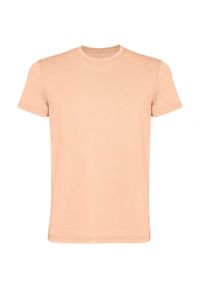 ROLY - Męska Koszulka Corgi Z Krótkim Rękawem. Kolor: pomarańczowy. Długość rękawa: krótki rękaw. Długość: krótkie. Sport: turystyka piesza #1