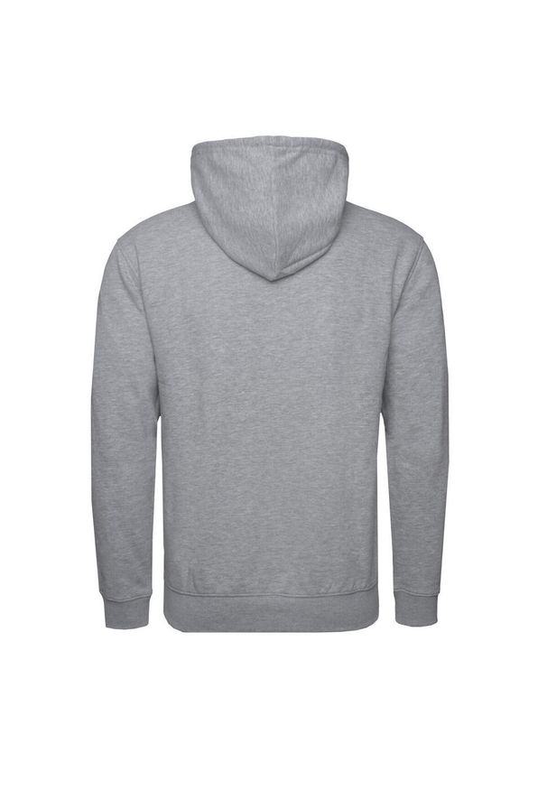 Bluzy sportowa męska Champion 217994EM006. Typ kołnierza: kaptur. Kolor: szary